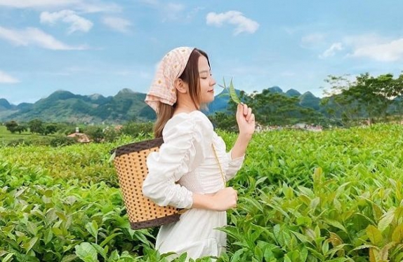 Du lịch mùa Thu - Tour Hà Nội - Mộc Châu - Cầu Kính Bạch Long - Sơn La - Điện Biên - Sapa - Đền Hùng từ Sài Gòn 2022